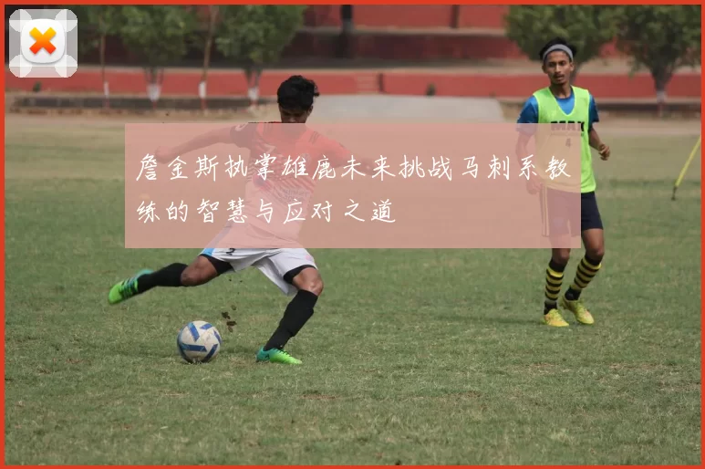 詹金斯执掌雄鹿未来挑战马刺系教练的智慧与应对之道