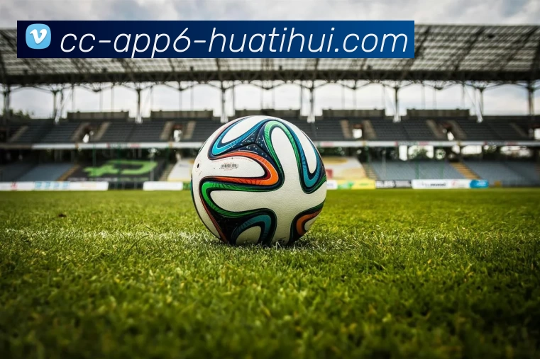 App 展示图